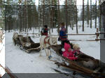 Bambini trainati dalle renne