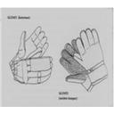 Show Batting gloves Image