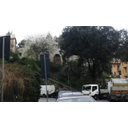 Portale di Passo Balestrieri Genovesi visto frontalmente da Corso Montegrappa. La struttura non è visibile del tutto in quanto una parte è coperta dalle foglie degli alberi. (Arianna Attard)