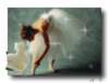 ballerinachina_small.jpg