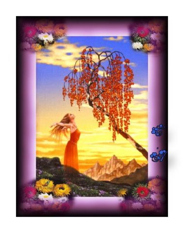 fiori4.jpg
