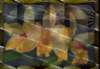 image1_small.jpg
