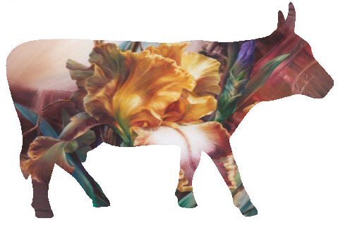 b.jpg