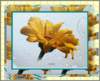 photo10_small.jpg