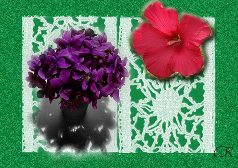 photo39.jpg