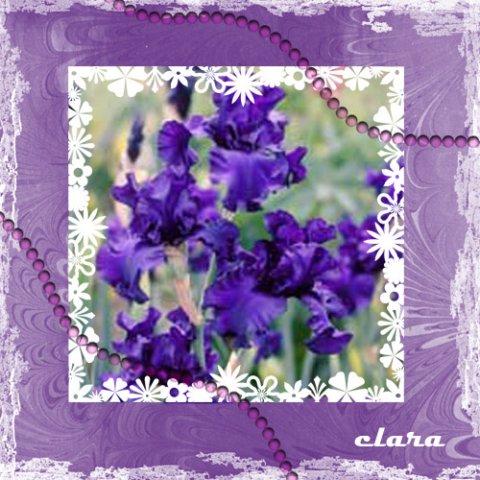 photo13.jpg