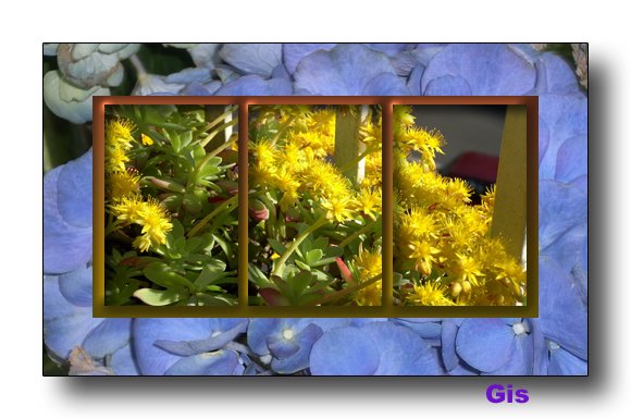 photo32.jpg