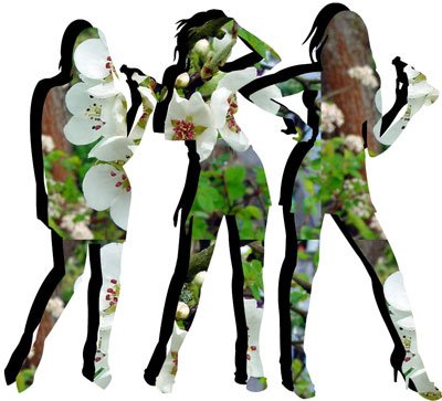 photo42.jpg