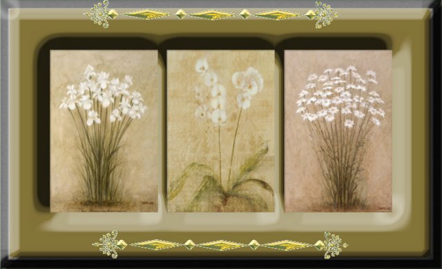 photo9.jpg