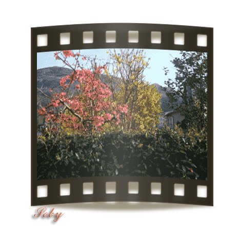 photo22.jpg