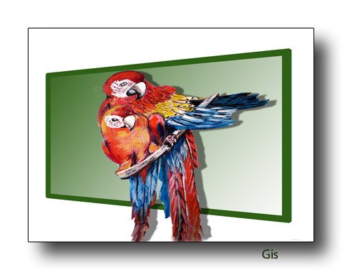 photo19.jpg