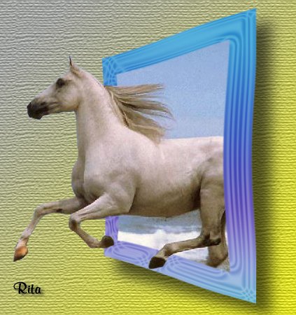 photo41.jpg