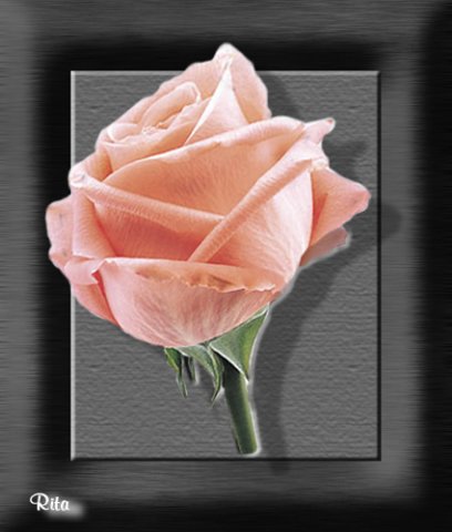 photo42.jpg