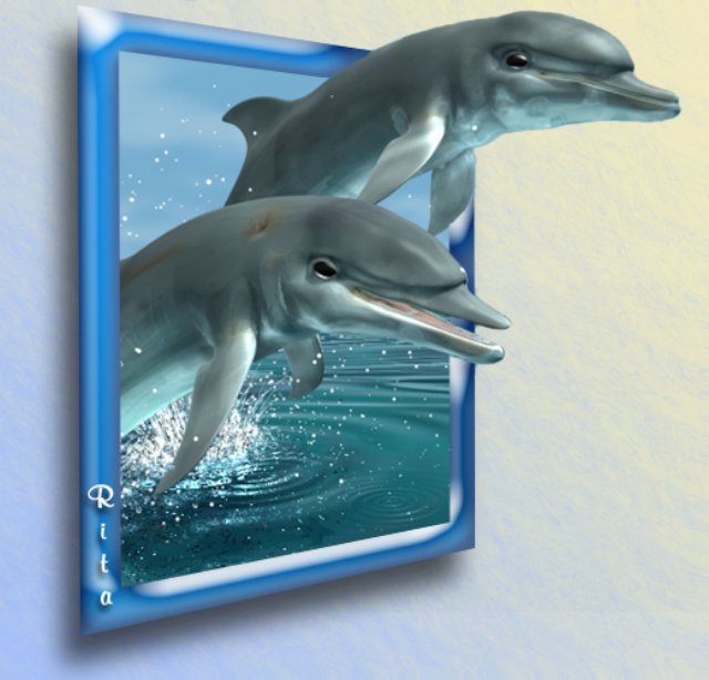 photo49.jpg