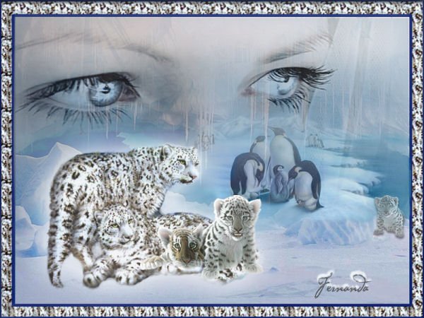 inverno1.jpg