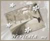 nevicata1_small.jpg