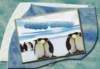 penguin_small.jpg
