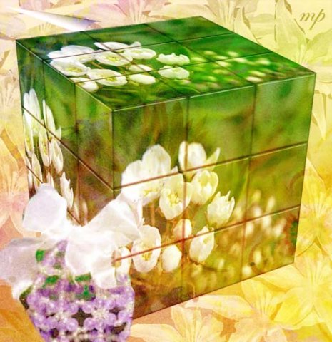 photo29.jpg