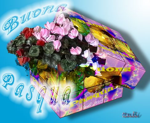photo34.jpg