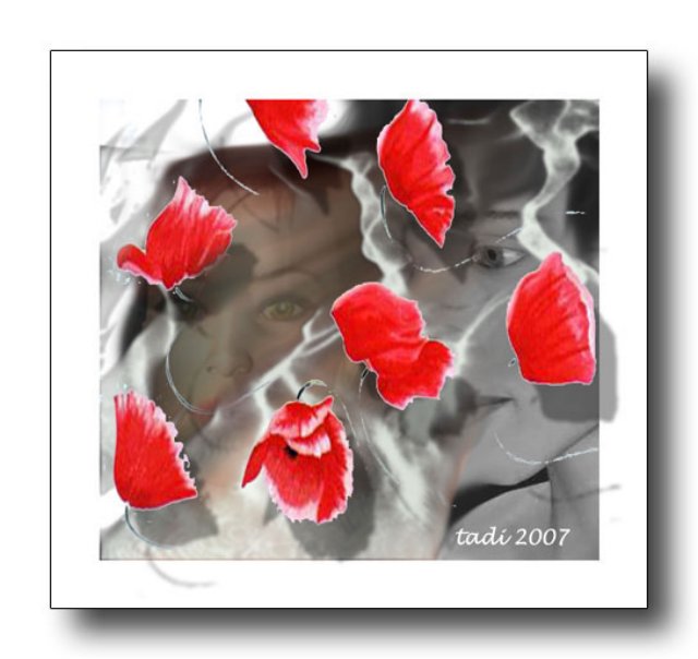 photo27.jpg