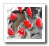 photo27_small.jpg