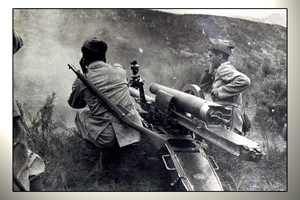 cannone