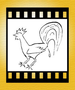 gallinaccio