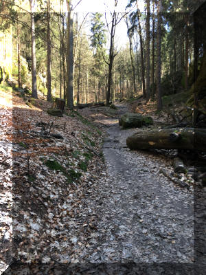 trekking