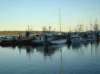 campbellriver4_small.jpg
