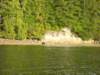 bearwatching8_small.jpg