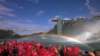 cascatedelniagara7_small.jpg