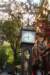 gastown3_small.jpg