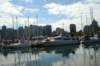 vancouver4_small.jpg