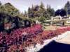 butchartgarden4_small.jpg