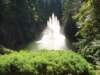 butchartgarden5_small.jpg