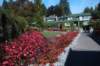 butchartgarden_small.jpg