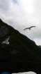 sognefiord24_small.jpg