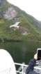 sognefiord25_small.jpg