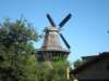 sanssouci8mulino_small.jpg