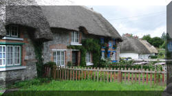 Adare3