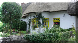 Adare5