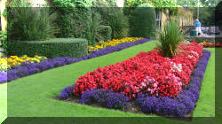 Adare6