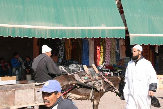 djemaaelfna4.jpg