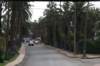 viale_small.jpg