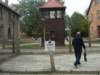 auschwitz3jpg_small.jpg