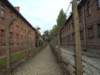 auschwitz4_small.jpg