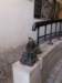 gnomolettore_small.jpg