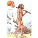 Mostra  Immagine