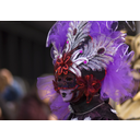 Mostra Venezia_ Carnevale 2010_ 4 Immagine