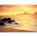 Mostra Alba Immagine